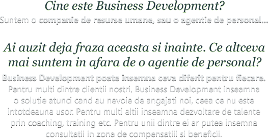 Cine este Business Development